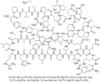 Peptide YY (human) Catalog KS042005 CAS 118997-30-1