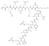 GTP-Binding Protein Fragment Catalog Number KS061031 CAS 101038-78-2