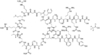 Carperitide Atrial Natriuretic Peptide ANP (1-28) Catalog KS062018 CAS 89213-87-6