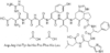 Human Angiotensin I Cardiovascular Peptides Catalog KS092004 CAS 70937-97-2