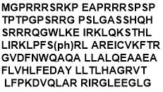 CENPA-S68ph Histones Proteins Catalog Number C16368