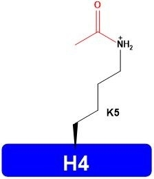 H4-K5ac Histones Proteins Catalog Number H4205