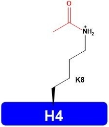 H4K8ac DNA Histones Proteins Catalog Number H4201