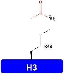 H3-K64ac Human Histones Proteins Catalog Number H3203