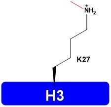 H3K27me1 Synthesized Histones Proteins Catalog Number H3107