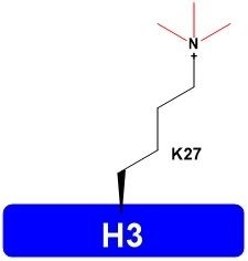 H3K27me3 Histone H3 Protein Catalog Number H3109