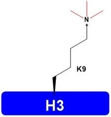 H3K9me3 H3 Histone Modification Catalog Number H3106