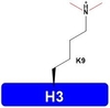 H3K9me2 Histones Proteins Epigenetics Catalog Number H3105