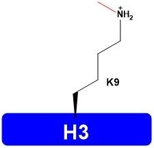 H3K9me1 Human Histone H3 Epigenetics Catalog Number H3104