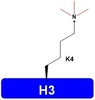 H3K4me3 Modifying Histones Proteins Catalog Number H3103