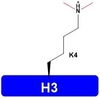 Lyophilized H3K4me2 Histone H1 H2 H3 H4 Modifications Catalog Number H3102