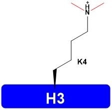 Lyophilized H3K4me2 Histone H1 H2 H3 H4 Modifications Catalog Number H3102
