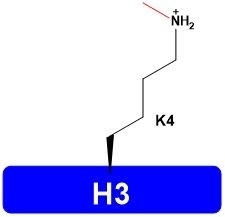 H3-K4me1 Lyophilized Histones H3 Protein Catalog Number H3101 Store At -20°C Or -80°C
