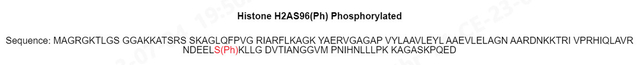 H2A-S96ph,Lyophilized,Catalog Number: H1302,Store at -20°C or -80°C