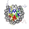 H2A,Lyophilized,Catalog Number: H1300,Store at -20°C or -80°C