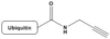 Human Ub-Prg Ubiquitinated Proteins Catalog Number U1040