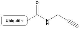 Human Ub-Prg Ubiquitinated Proteins Catalog Number U1040