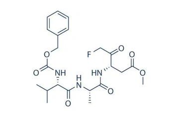 Z-VAD(OMe)-FMK RGD Peptides Catalog Number KS191004 CAS 187389-52-2