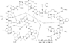 KS-V huwentoxin IV CAS 526224-73-7 Catalog Number N1020-V